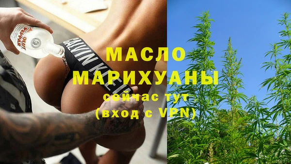 МДПВ Вяземский