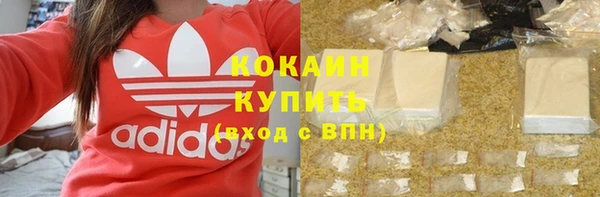 МДПВ Вяземский