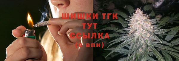 МДПВ Вяземский
