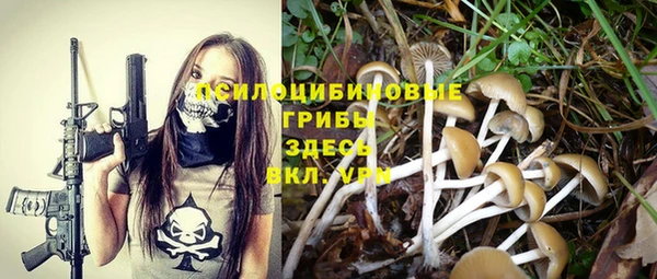 МДПВ Вяземский