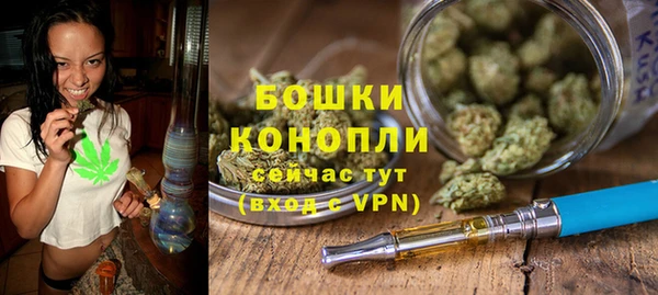 МДПВ Вяземский