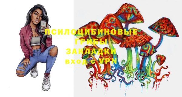 амф Вязьма