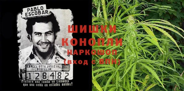 амф Вязьма