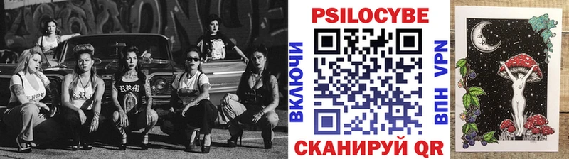 Галлюциногенные грибы мицелий  где найти наркотики  Зубцов 